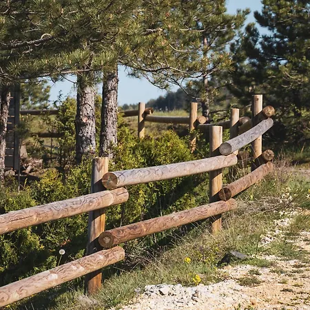 Chaletu Concept *